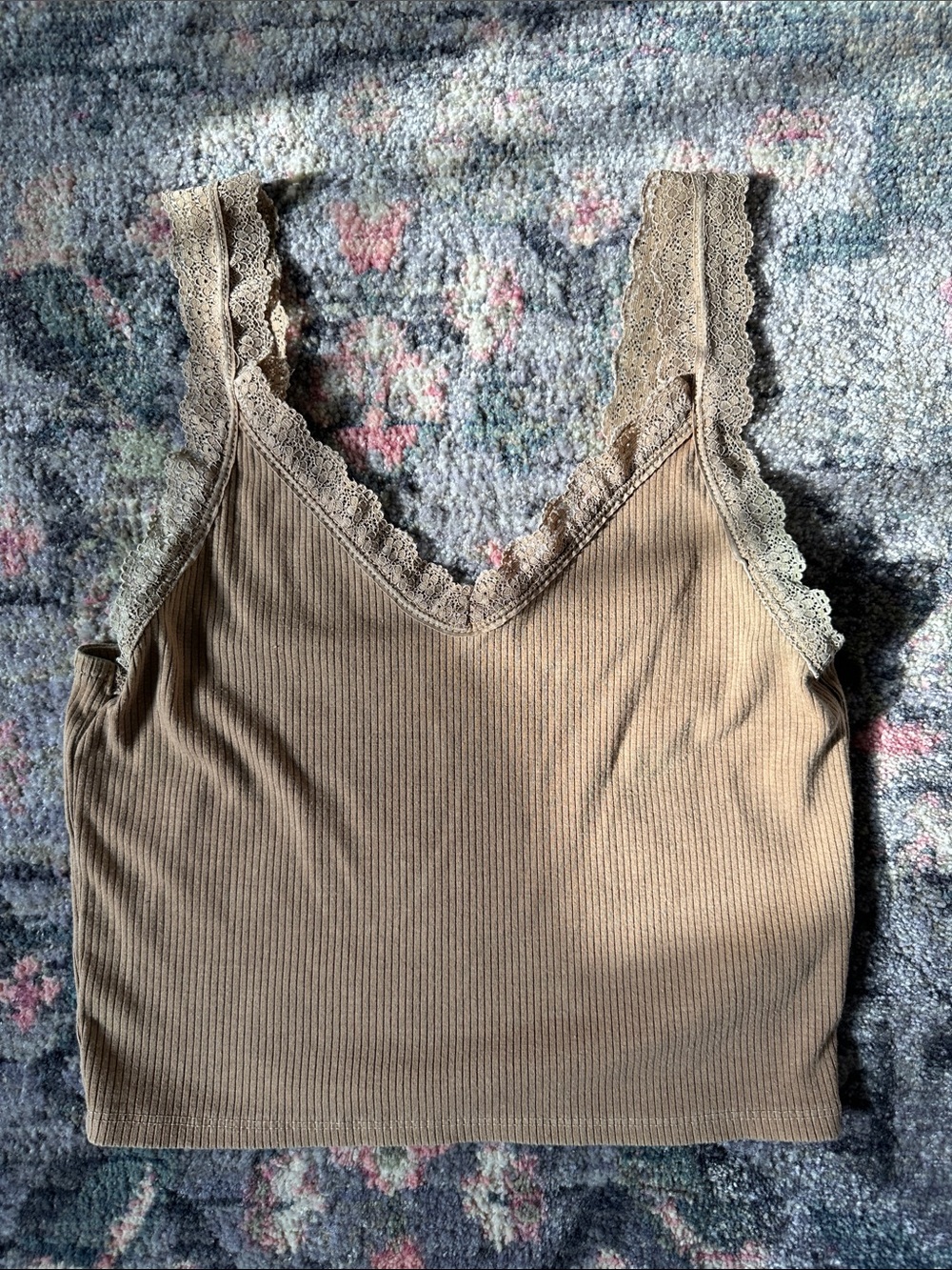 American Eagle Outfitters Ribbed Lace-Trim Camisole in Beige-Brown Fall Coquette